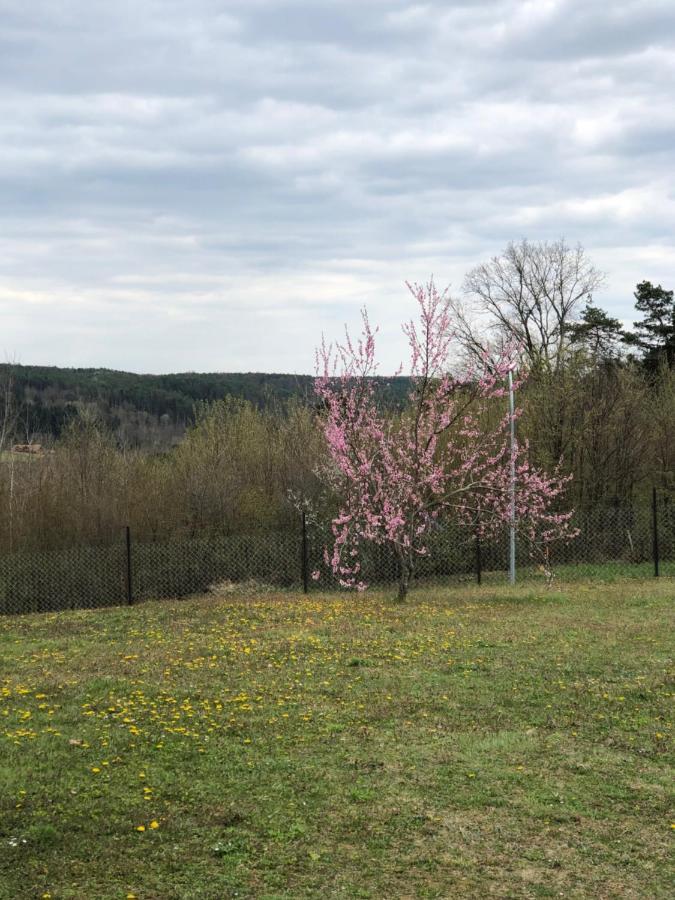 Landhaus Suedburgenland Villa Olbendorf Exteriör bild